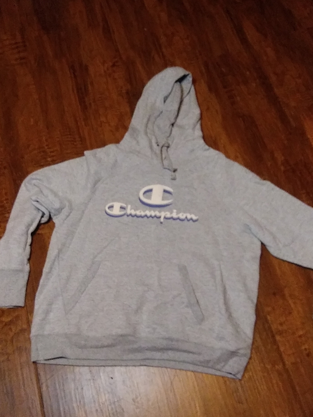 Champion Light Gray Hoodie with Script Logo